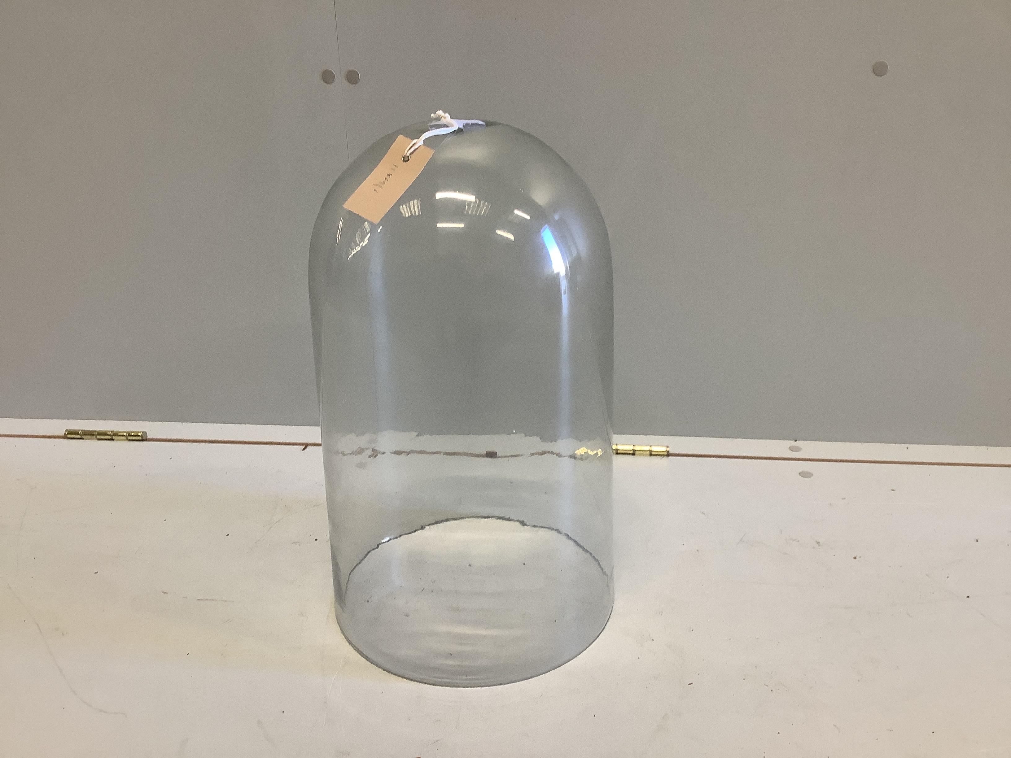 A glass display dome, height 45cm